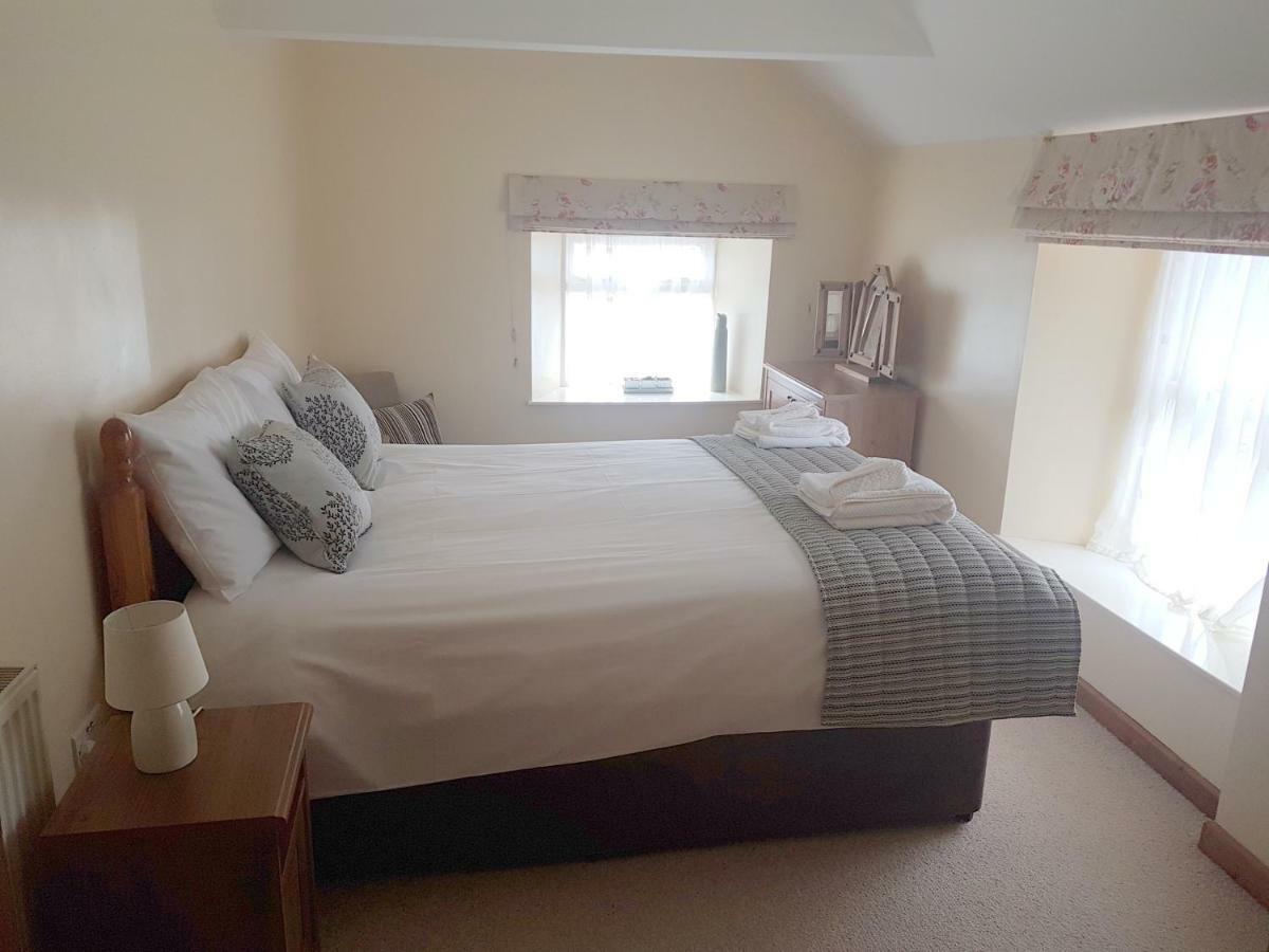מלון ניופורט Llwyngwair Manor, Newport, Pembrokeshire מראה חיצוני תמונה